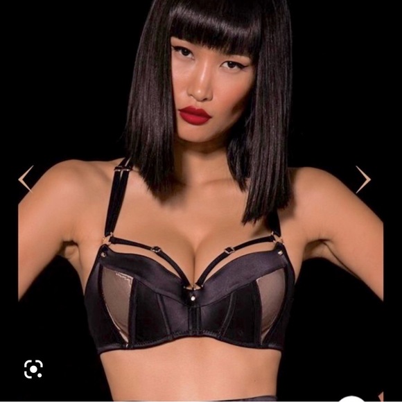 Honey Birdette Other - Honey Birdette Jimmy Bra, 32DD/10DD- Excellent condition/ Great push-up bra!